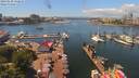 ./images/victoria/wharf/20190620/wharf20190620_131953.jpg