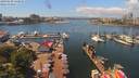 ./images/victoria/wharf/20190620/wharf20190620_132954.jpg