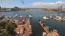 ./images/victoria/wharf/20190620/wharf20190620_133954.jpg