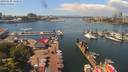 ./images/victoria/wharf/20190620/wharf20190620_134454.jpg