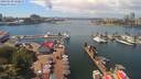 ./images/victoria/wharf/20190620/wharf20190620_140455.jpg