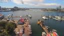 ./images/victoria/wharf/20190620/wharf20190620_141956.jpg