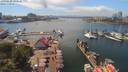 ./images/victoria/wharf/20190620/wharf20190620_142456.jpg