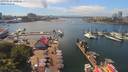 ./images/victoria/wharf/20190620/wharf20190620_142956.jpg