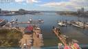 ./images/victoria/wharf/20190620/wharf20190620_151958.jpg