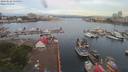 ./images/victoria/wharf/20190622/wharf20190622_054952.jpg