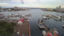 ./images/victoria/wharf/20190622/wharf20190622_055453.jpg