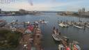 ./images/victoria/wharf/20190622/wharf20190622_134955.jpg