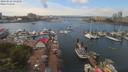 ./images/victoria/wharf/20190622/wharf20190622_141956.jpg
