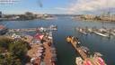 ./images/victoria/wharf/20190624/wharf20190624_122452.jpg