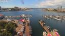 ./images/victoria/wharf/20190624/wharf20190624_122952.jpg