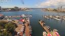 ./images/victoria/wharf/20190624/wharf20190624_123952.jpg