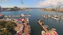 ./images/victoria/wharf/20190624/wharf20190624_124452.jpg