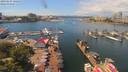 ./images/victoria/wharf/20190624/wharf20190624_125453.jpg