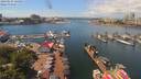 ./images/victoria/wharf/20190624/wharf20190624_125953.jpg