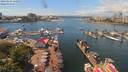 ./images/victoria/wharf/20190624/wharf20190624_130953.jpg