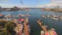 ./images/victoria/wharf/20190624/wharf20190624_131453.jpg