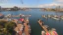 ./images/victoria/wharf/20190624/wharf20190624_131953.jpg