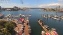 ./images/victoria/wharf/20190624/wharf20190624_132454.jpg