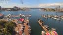 ./images/victoria/wharf/20190624/wharf20190624_132954.jpg