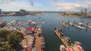 ./images/victoria/wharf/20190624/wharf20190624_135955.jpg