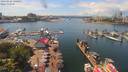 ./images/victoria/wharf/20190624/wharf20190624_140455.jpg
