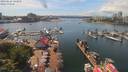 ./images/victoria/wharf/20190624/wharf20190624_142956.jpg