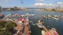 ./images/victoria/wharf/20190625/wharf20190625_114955.jpg