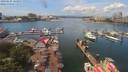 ./images/victoria/wharf/20190625/wharf20190625_123957.jpg