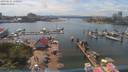 ./images/victoria/wharf/20190625/wharf20190625_150954.jpg