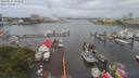 ./images/victoria/wharf/20190627/wharf20190627_081958.jpg