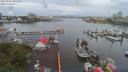 ./images/victoria/wharf/20190627/wharf20190627_085459.jpg