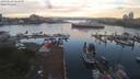./images/victoria/wharf/20190628/wharf20190628_062951.jpg