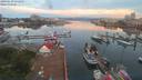 ./images/victoria/wharf/20190629/wharf20190629_051950.jpg