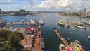 ./images/victoria/wharf/20190629/wharf20190629_131953.jpg