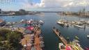 ./images/victoria/wharf/20190629/wharf20190629_133956.jpg