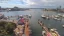./images/victoria/wharf/20190629/wharf20190629_144949.jpg