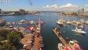 ./images/victoria/wharf/20190630/wharf20190630_124450.jpg