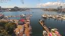 ./images/victoria/wharf/20190630/wharf20190630_144458.jpg