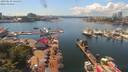 ./images/victoria/wharf/20190630/wharf20190630_144951.jpg
