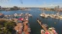 ./images/victoria/wharf/20190701/wharf20190701_130957.jpg