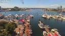 ./images/victoria/wharf/20190701/wharf20190701_134952.jpg