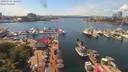 ./images/victoria/wharf/20190701/wharf20190701_144951.jpg