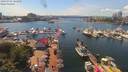 ./images/victoria/wharf/20190701/wharf20190701_145958.jpg