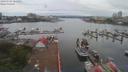 ./images/victoria/wharf/20190705/wharf20190705_065451.jpg