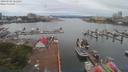 ./images/victoria/wharf/20190705/wharf20190705_065954.jpg