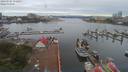 ./images/victoria/wharf/20190705/wharf20190705_072953.jpg