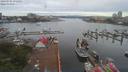 ./images/victoria/wharf/20190705/wharf20190705_075952.jpg