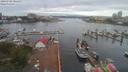 ./images/victoria/wharf/20190705/wharf20190705_084450.jpg