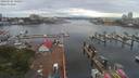 ./images/victoria/wharf/20190705/wharf20190705_090956.jpg